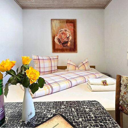 Pension Hoffmann Trebra Экстерьер фото