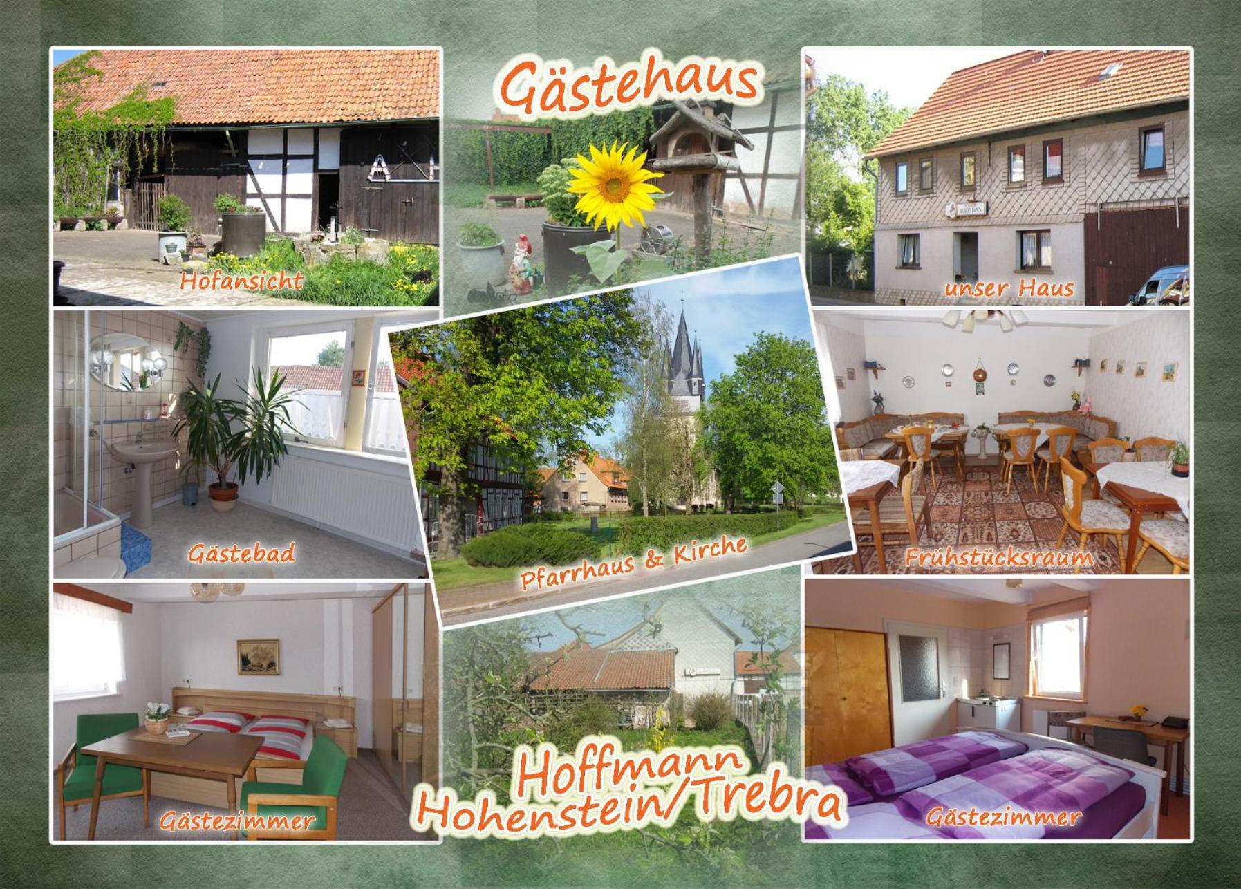 Pension Hoffmann Trebra Экстерьер фото